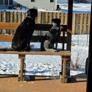 Meet your Posher, Paula